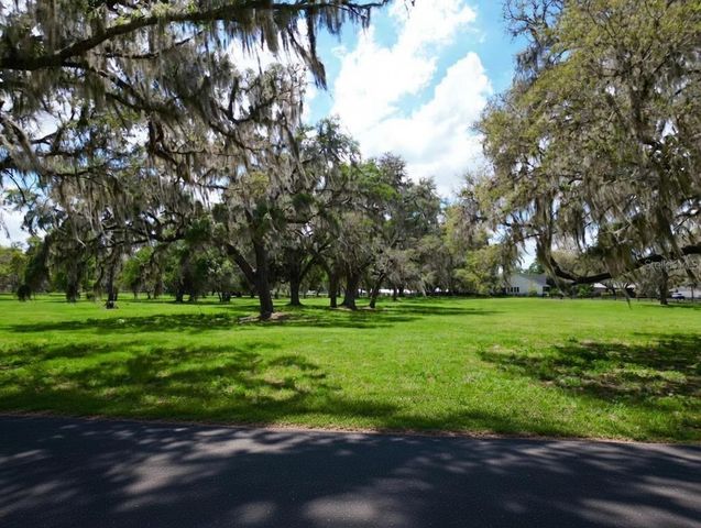 TBD SE 115TH ST, Belleview, FL 34420