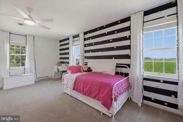 25428 WORTON LYNCH RD, Worton, MD 21678