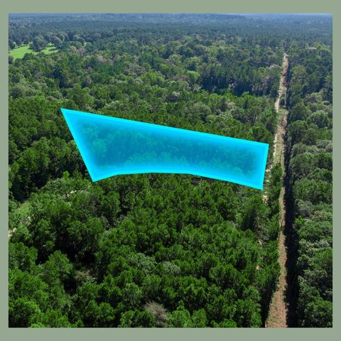 Lots 72–74 Sweetgum Lane, Oakhurst, TX 77359