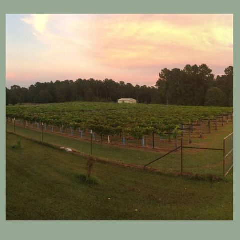 Lots 72–74 Sweetgum Lane, Oakhurst, TX 77359