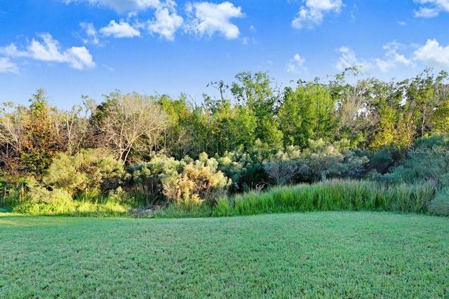 4616 ROSLYN COURT, Land O Lakes, FL 34639