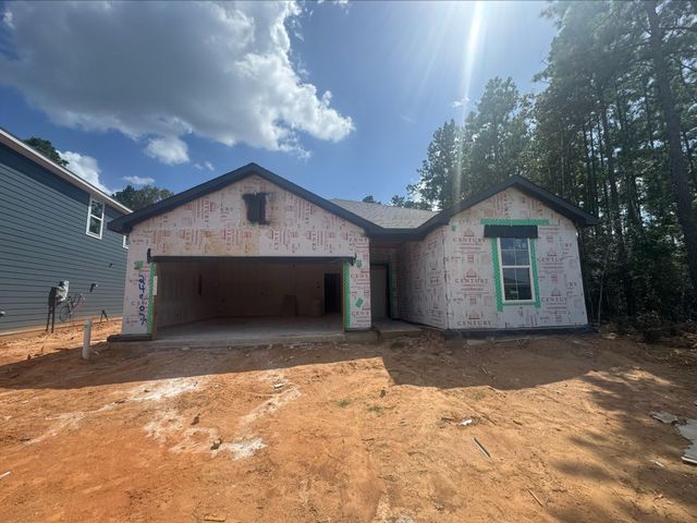 24907 Hazel Cove Way, Montgomery, TX 77316