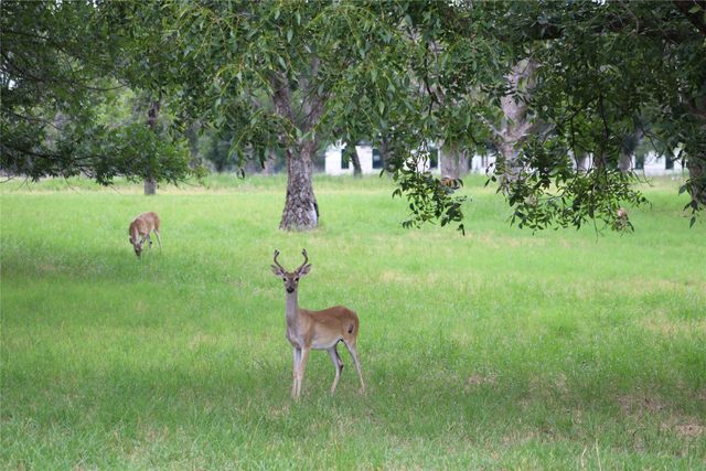 3173 E Landings S, Granbury, TX 76049