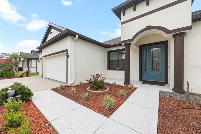 11026 BRAHMAN RANCH CIRCLE, Riverview, FL 33578