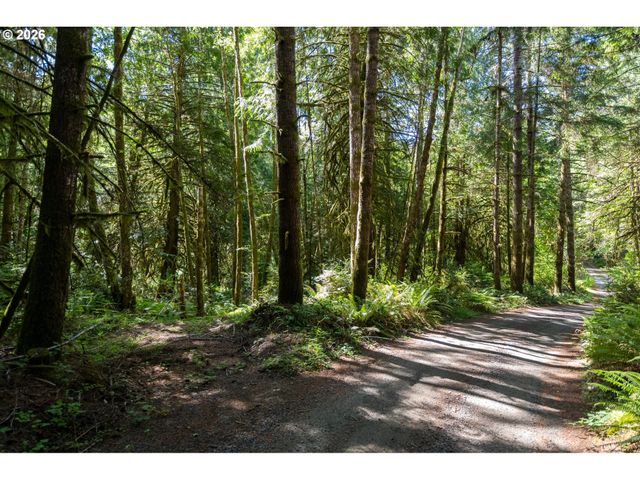 1781 E Sunset Hill Rd, Shelton, WA 98584