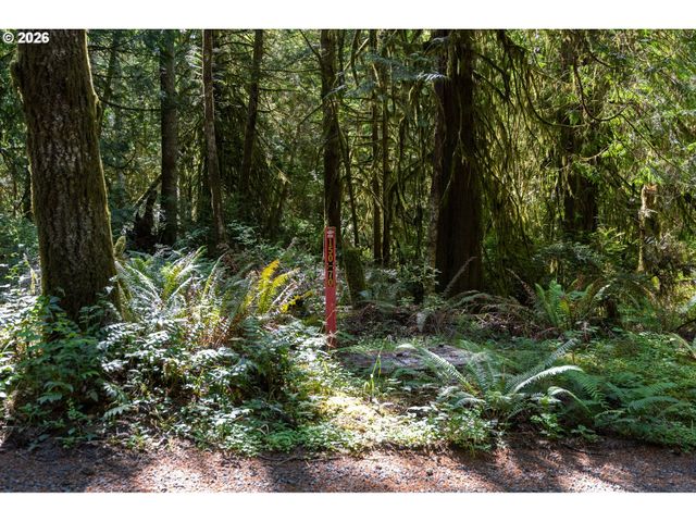 1781 E Sunset Hill Rd, Shelton, WA 98584