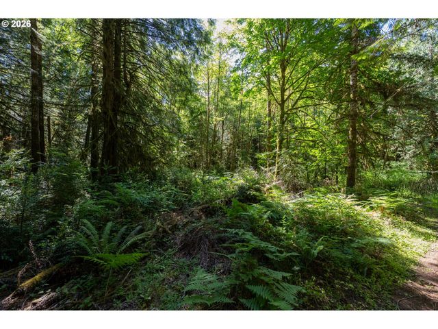 1781 E Sunset Hill Rd, Shelton, WA 98584