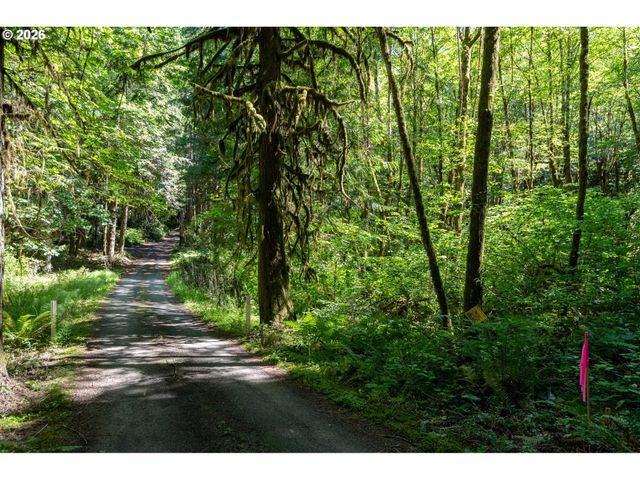 1781 E Sunset Hill Rd, Shelton, WA 98584