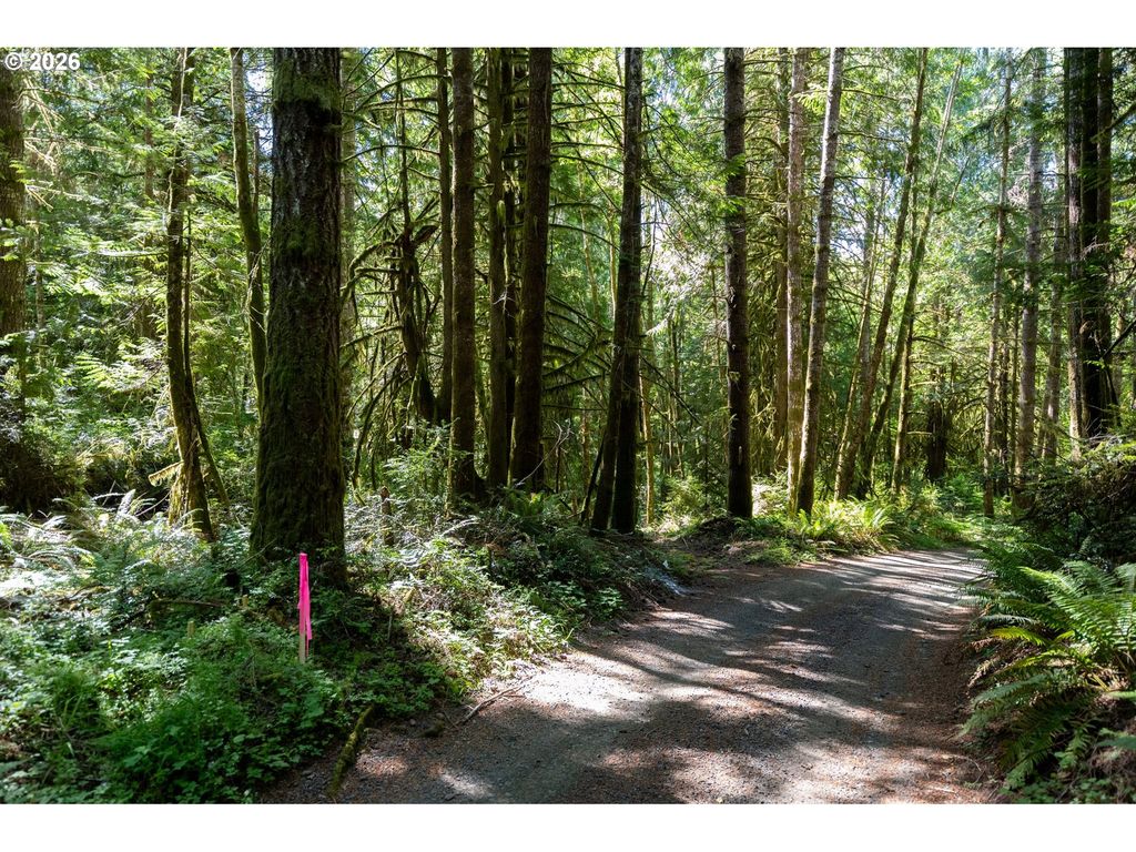 1781 E Sunset Hill Rd, Shelton, WA 98584