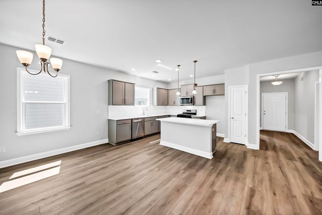 173 Monroe Preserve Lane, Chapin, SC 29036
