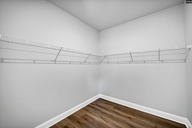 173 Monroe Preserve Lane, Chapin, SC 29036