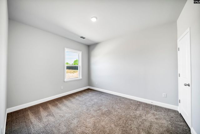 173 Monroe Preserve Lane, Chapin, SC 29036
