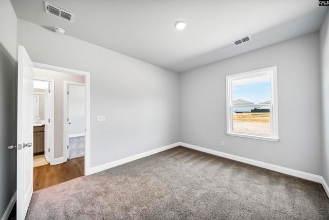 173 Monroe Preserve Lane, Chapin, SC 29036