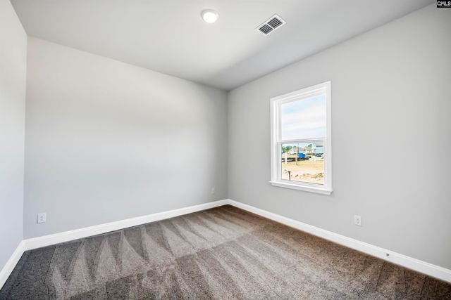 173 Monroe Preserve Lane, Chapin, SC 29036