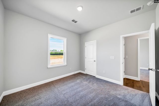 173 Monroe Preserve Lane, Chapin, SC 29036