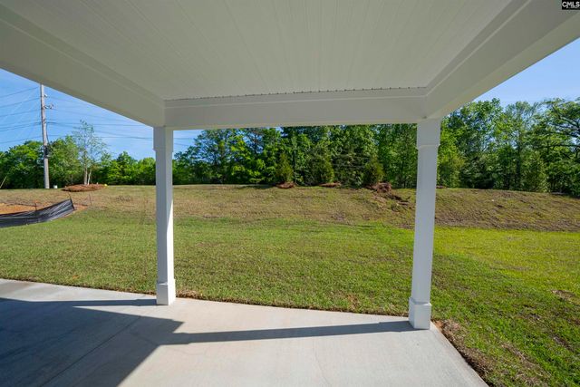 173 Monroe Preserve Lane, Chapin, SC 29036