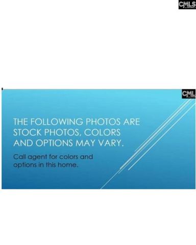 173 Monroe Preserve Lane, Chapin, SC 29036