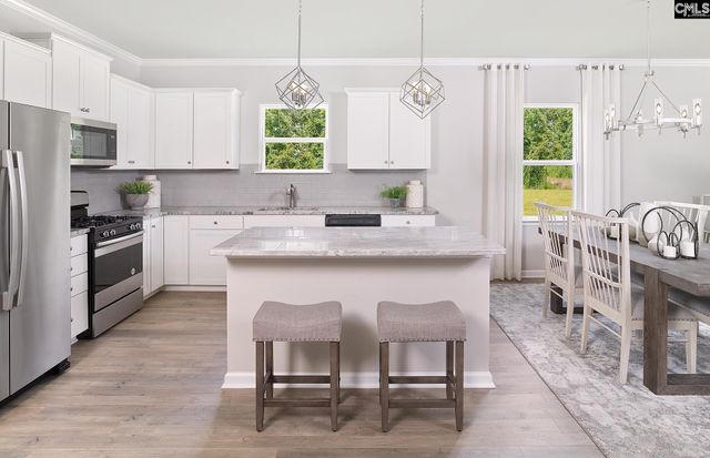 173 Monroe Preserve Lane, Chapin, SC 29036