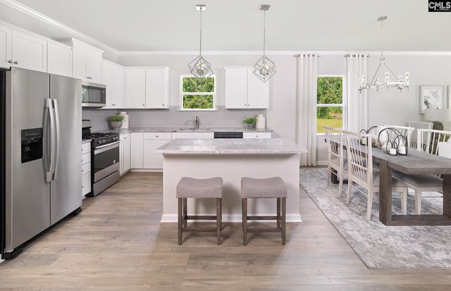 173 Monroe Preserve Lane, Chapin, SC 29036