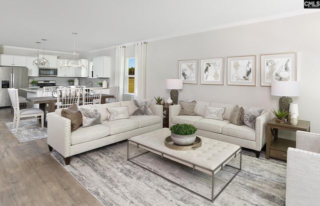 173 Monroe Preserve Lane, Chapin, SC 29036