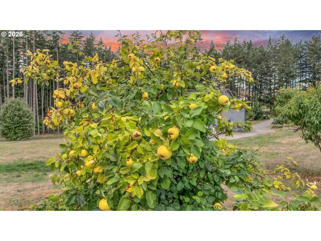 21414 S RICHARD Ct, Oregon City, OR 97045