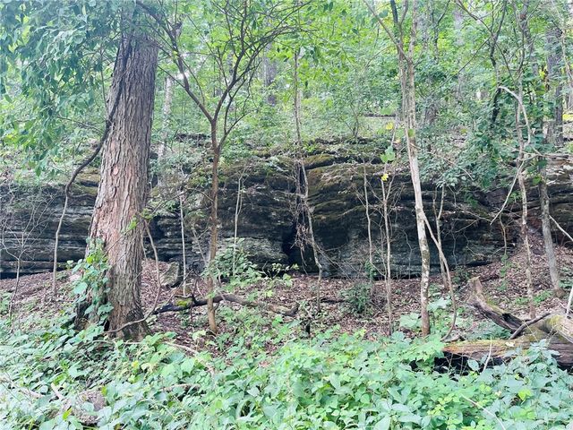 TBD CR 246, Berryville, AR 72616