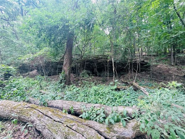 TBD CR 246, Berryville, AR 72616