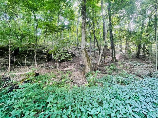 TBD CR 246, Berryville, AR 72616
