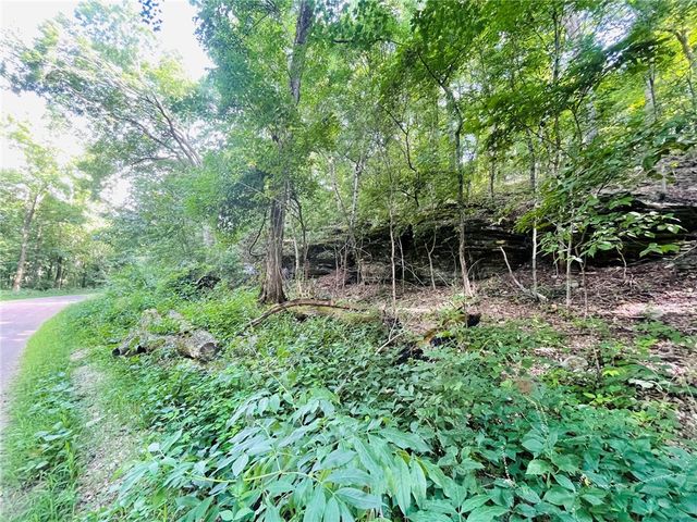 TBD CR 246, Berryville, AR 72616