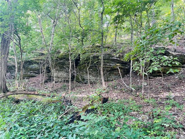 TBD CR 246, Berryville, AR 72616