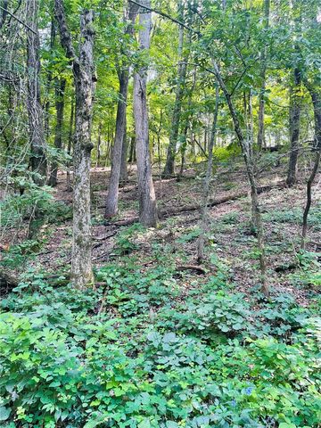TBD CR 246, Berryville, AR 72616