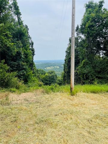 TBD CR 246, Berryville, AR 72616