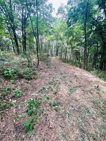 TBD CR 246, Berryville, AR 72616