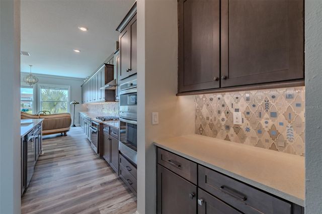 29527 PICANA LANE, Wesley Chapel, FL 33543