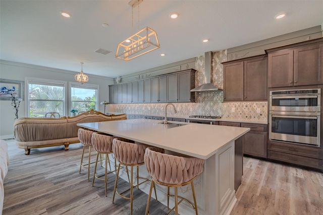 29527 PICANA LANE, Wesley Chapel, FL 33543