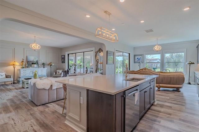 29527 PICANA LANE, Wesley Chapel, FL 33543
