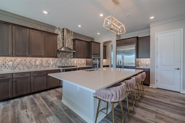 29527 PICANA LANE, Wesley Chapel, FL 33543