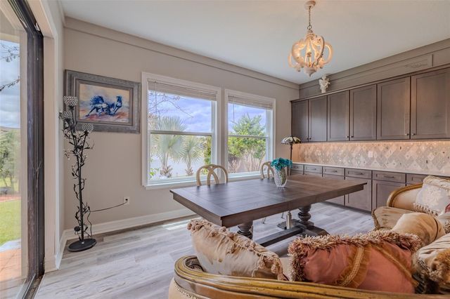 29527 PICANA LANE, Wesley Chapel, FL 33543