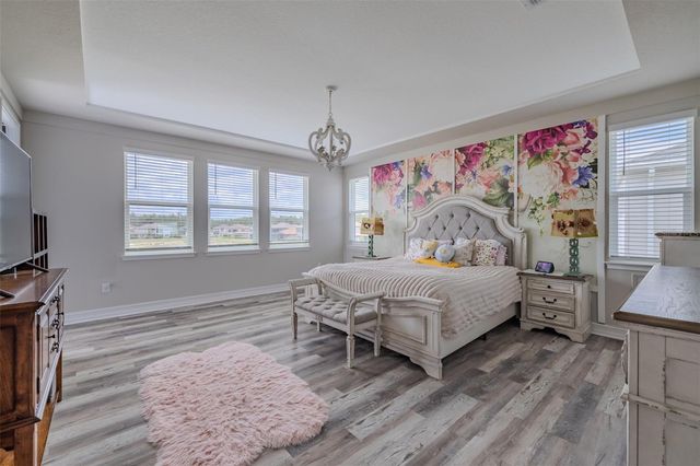 29527 PICANA LANE, Wesley Chapel, FL 33543