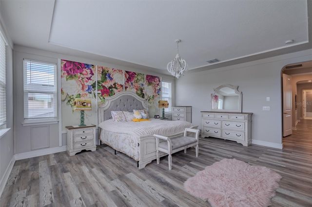 29527 PICANA LANE, Wesley Chapel, FL 33543