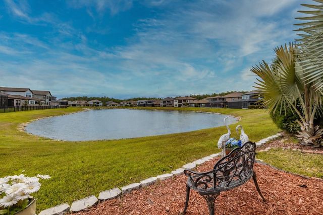 29527 PICANA LANE, Wesley Chapel, FL 33543