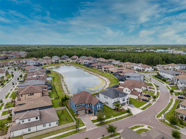 29527 PICANA LANE, Wesley Chapel, FL 33543