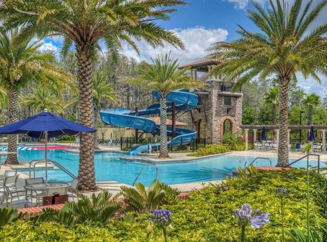 29527 PICANA LANE, Wesley Chapel, FL 33543