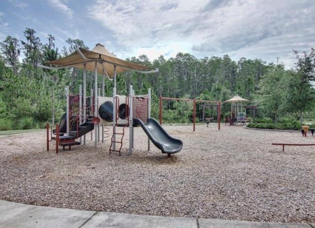 29527 PICANA LANE, Wesley Chapel, FL 33543