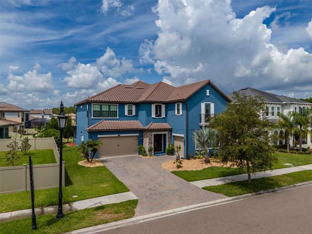 29527 PICANA LANE, Wesley Chapel, FL 33543