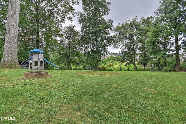 1239 Olde Oaks Drive, Gray, TN 37615
