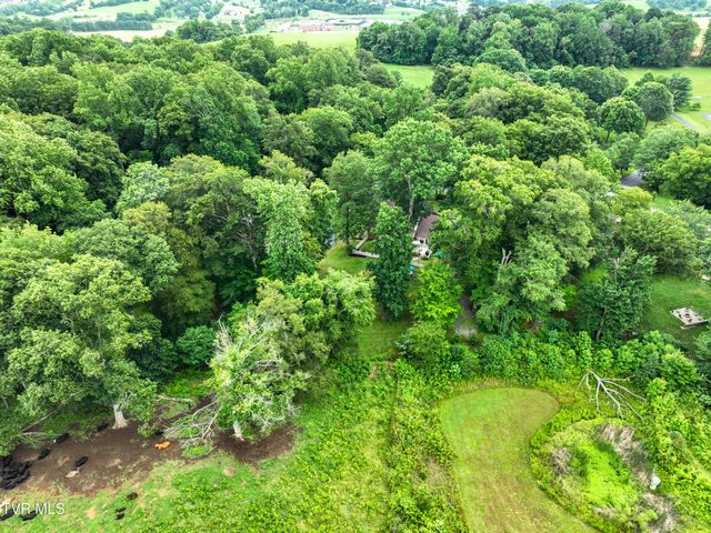 1239 Olde Oaks Drive, Gray, TN 37615