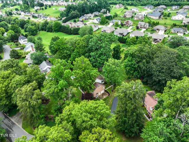 1239 Olde Oaks Drive, Gray, TN 37615