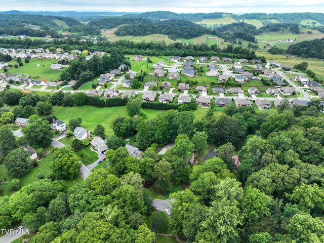 1239 Olde Oaks Drive, Gray, TN 37615