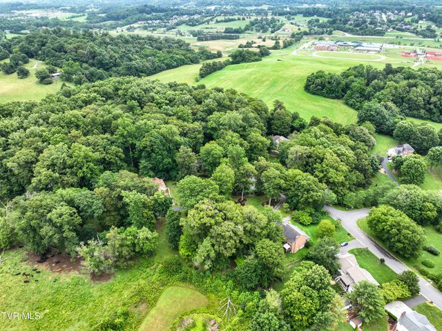 1239 Olde Oaks Drive, Gray, TN 37615